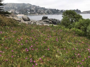 Peyzaj ve kayalık plaj