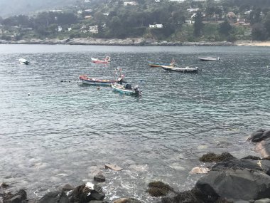 Peyzaj ve kayalık plaj