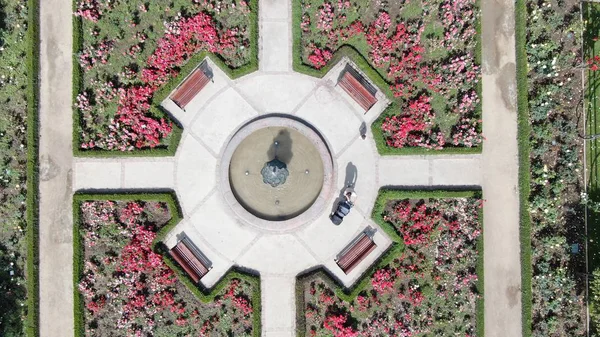 Aerial Picture Rose Garden Park — Stock Photo, Image
