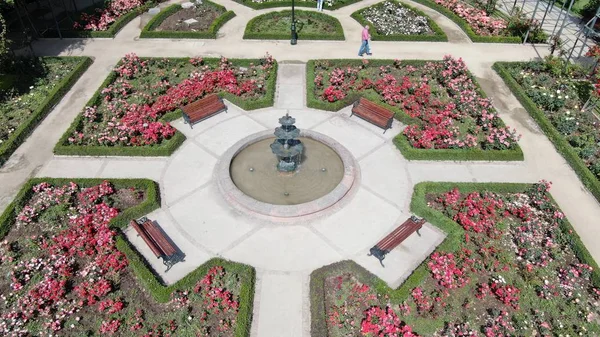 Imagen Aérea Jardín Rosas Parque — Foto de Stock