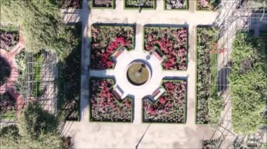 Bir gül bahçesi havadan görünümü