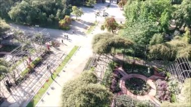 Bir gül bahçesi havadan görünümü