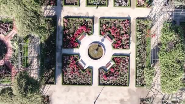 Vue aérienne d'une roseraie 