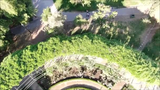 Vue aérienne d'une roseraie 