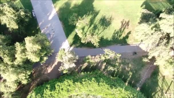 Vue aérienne d'une roseraie 