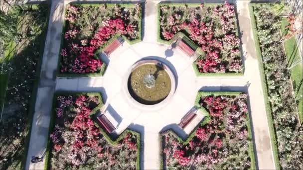 Vue aérienne d'une roseraie 