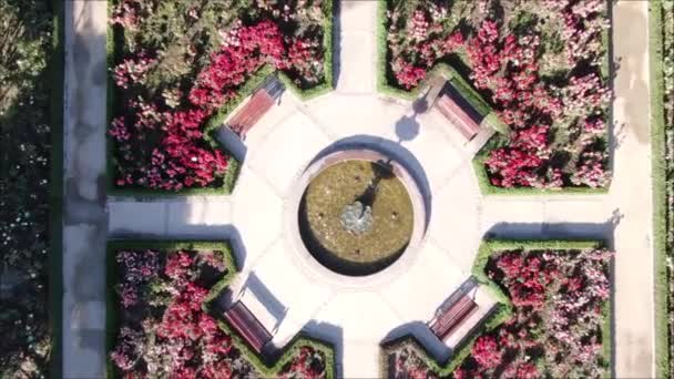 Vue aérienne d'une roseraie 