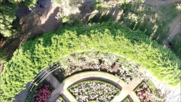 Aerial View Rose Garden — Stock Video