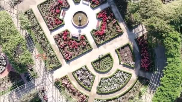 Vue aérienne d'une roseraie 