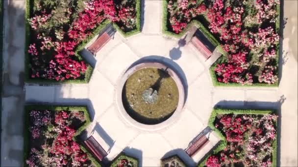 Vista Aérea Jardín Rosas — Vídeos de Stock