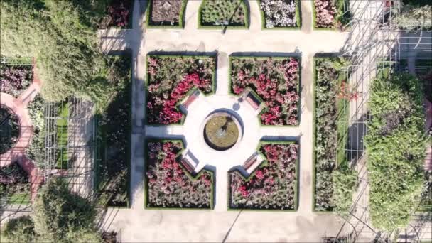 Aerial View Rose Garden — Stock Video