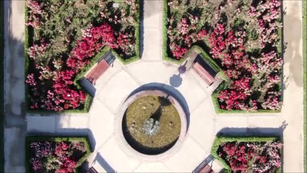 Aerial View Rose Garden — Stock Video