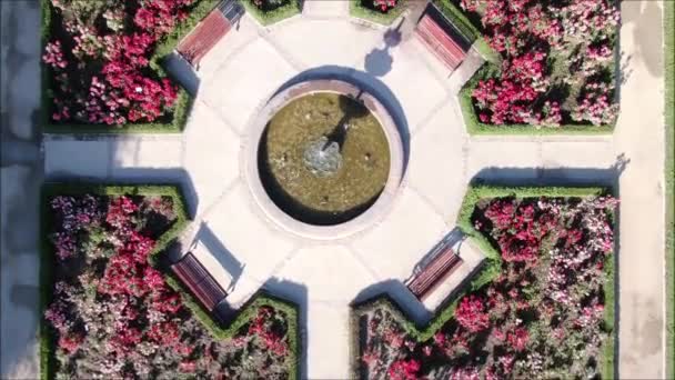 Vue aérienne d'une roseraie 