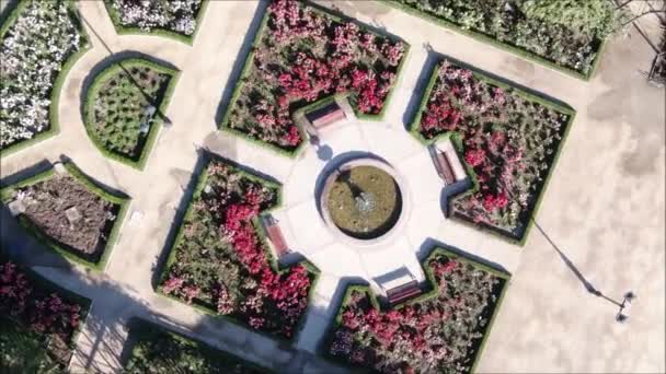 Aerial View Rose Garden — Stock Video