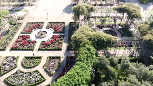 Vue aérienne d'une roseraie 