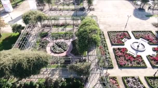 Αεροφωτογραφία Του Έναν Κήπο Τριανταφυλλιές — Αρχείο Βίντεο