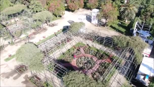 Αεροφωτογραφία Του Έναν Κήπο Τριανταφυλλιές — Αρχείο Βίντεο