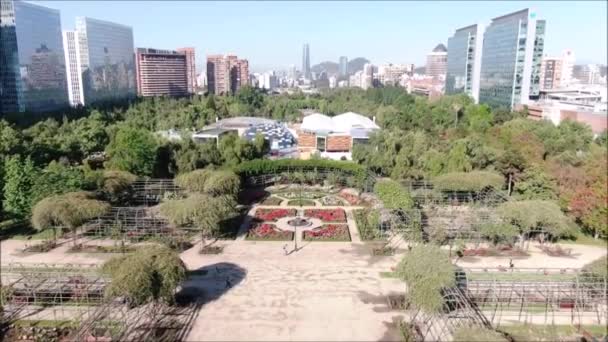 Vista Aérea Jardín Rosas — Vídeo de stock