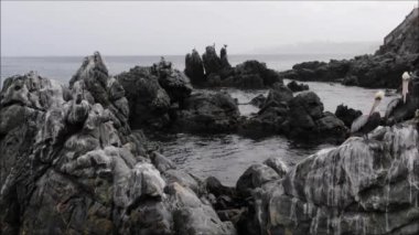 Şili 'de bir tuhaf plaj ve Pelican kuşların havadan görünümü