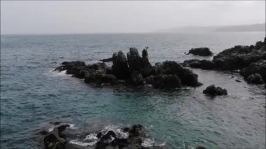 Şili 'de bir tuhaf plaj ve Pelican kuşların havadan görünümü