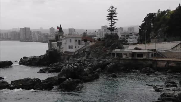 Vue Aérienne Une Plage Rocheuse Oiseaux Pélican Chili — Video