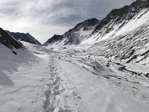 Stock image Landscape of mountain snow and valley in Chile