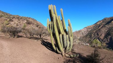 Dağların ve vadinin manzarası