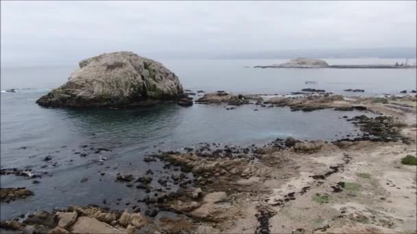 Flygvy Över Strand Stad Och Landskap — Stockvideo