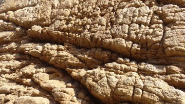 Kayalık plaj ve doğanın peyzajı