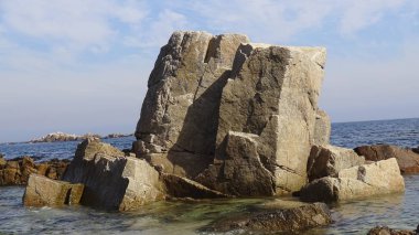 Kayalık plaj ve doğanın peyzajı