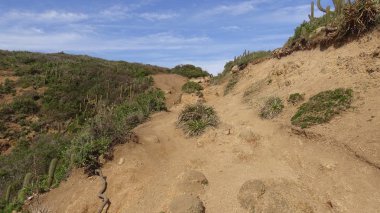 Kayalık plaj ve doğanın peyzajı