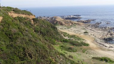 Kayalık plaj ve doğanın peyzajı
