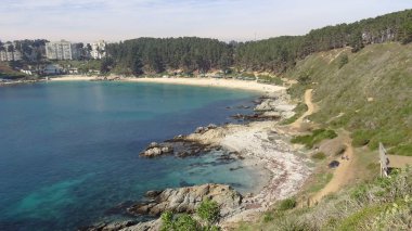 Kayalık plaj ve doğanın peyzajı