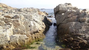 Kayalık plaj ve doğanın peyzajı