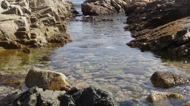 Kayalık plaj ve doğanın peyzajı