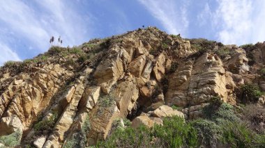 Kayalık plaj ve doğanın peyzajı