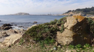 Kayalık plaj ve doğanın peyzajı