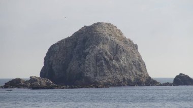 Kayalık plaj ve doğanın peyzajı