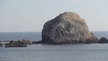 Kayalık plaj ve doğanın peyzajı