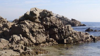 Kayalık plaj ve doğanın peyzajı