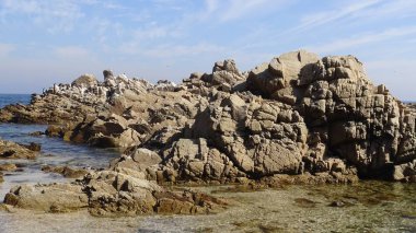 Kayalık plaj ve doğanın peyzajı