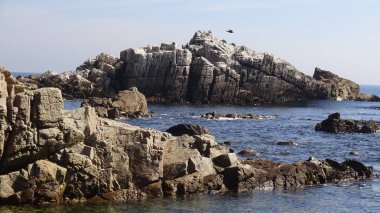 Kayalık plaj ve doğanın peyzajı