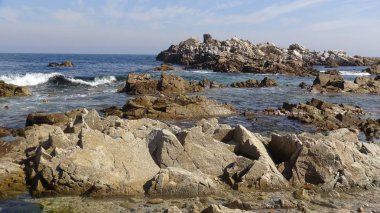 Kayalık plaj ve doğanın peyzajı