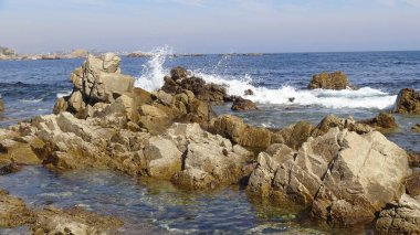 Kayalık plaj ve doğanın peyzajı