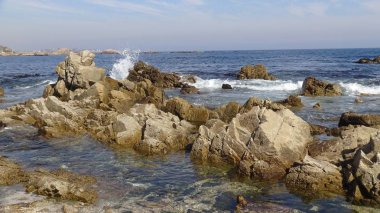 Kayalık plaj ve doğanın peyzajı