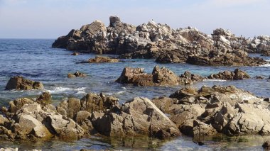 Kayalık plaj ve doğanın peyzajı
