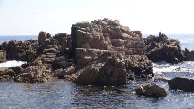 Kayalık plaj ve doğanın peyzajı