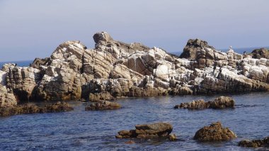 Kayalık plaj ve doğanın peyzajı