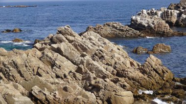 Kayalık plaj ve doğanın peyzajı