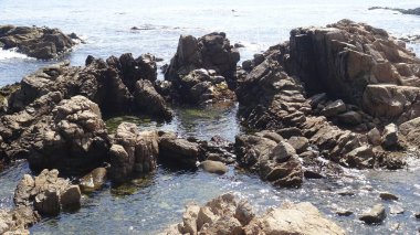 Kayalık plaj ve doğanın peyzajı